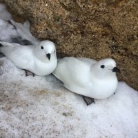 20 - Bagati Sudarsan Patro